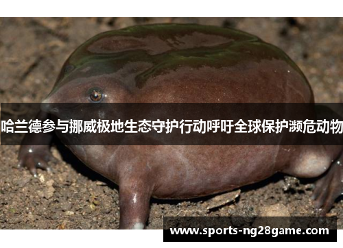 哈兰德参与挪威极地生态守护行动呼吁全球保护濒危动物