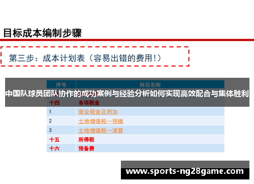 中国队球员团队协作的成功案例与经验分析如何实现高效配合与集体胜利