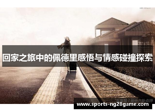 回家之旅中的佩德里感悟与情感碰撞探索