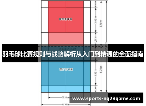 羽毛球比赛规则与战略解析从入门到精通的全面指南