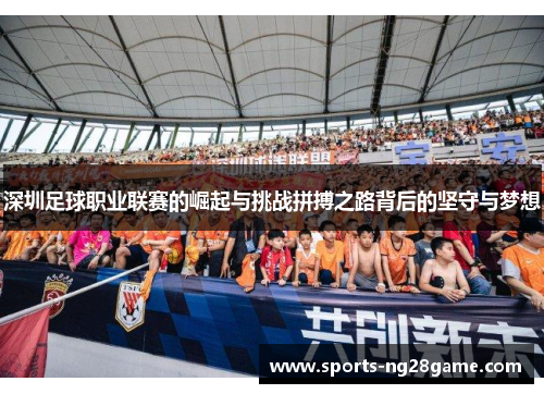深圳足球职业联赛的崛起与挑战拼搏之路背后的坚守与梦想