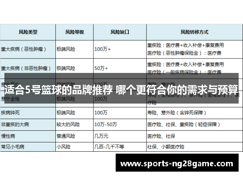 适合5号篮球的品牌推荐 哪个更符合你的需求与预算