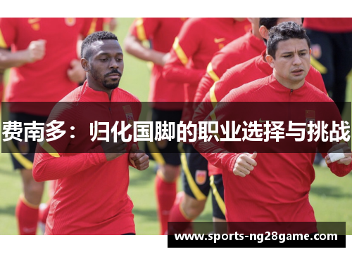 费南多：归化国脚的职业选择与挑战