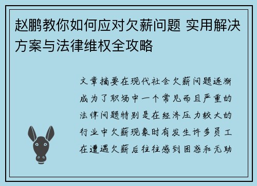 赵鹏教你如何应对欠薪问题 实用解决方案与法律维权全攻略